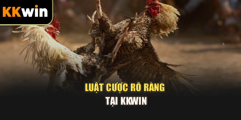 Luật cược rõ ràng tại kkwin